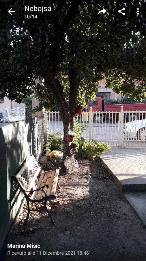 Apartman Milica Požarevac المظهر الخارجي الصورة
