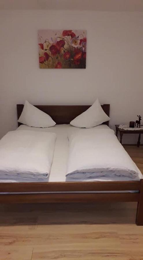 Apartman Milica Požarevac المظهر الخارجي الصورة