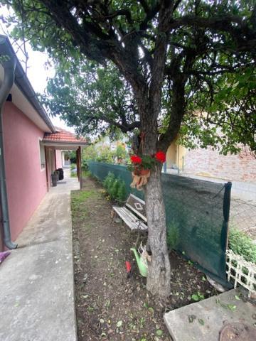 Apartman Milica Požarevac المظهر الخارجي الصورة